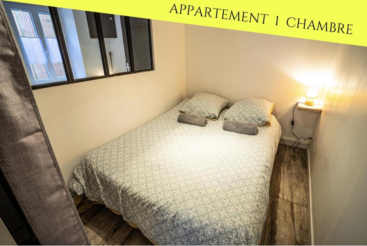 פואטייה Les Appartements Du Pont Joubert מראה חיצוני תמונה
